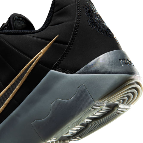 NIKE LEBRON WITNESS IX