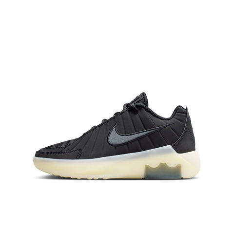 NIKE LEBRON WITNESS IX GS